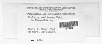 Image Associated With the Occurence